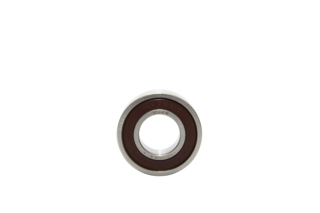 Bạc đạn NSK (Indo) 6002DDUCM