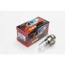 HALOGEN BULBS  H6M  ( 清光)